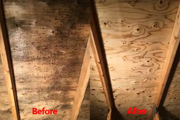 water damage restoration service Willoughby